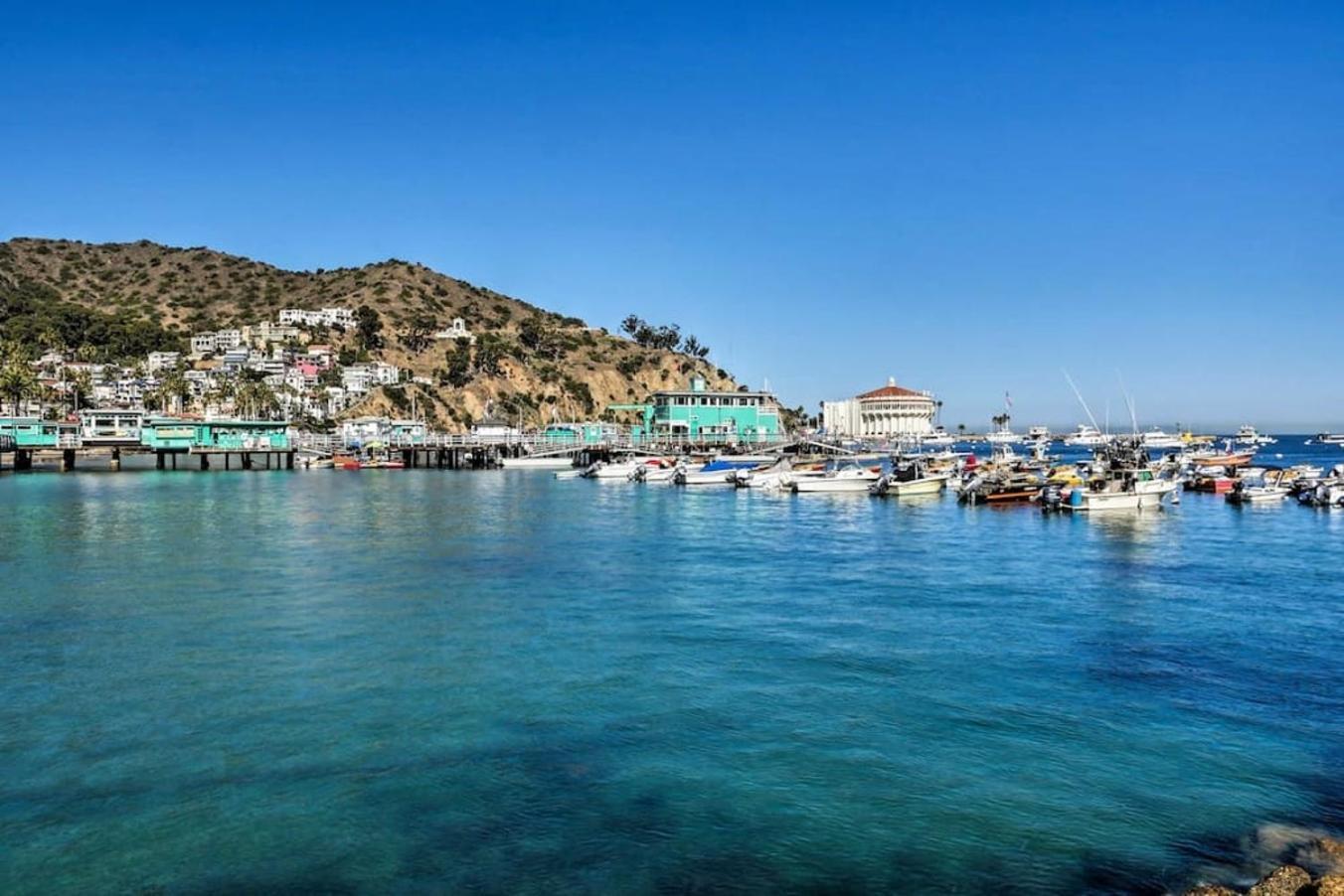 Lux Oceanfront Villa With Breathtaking Views أفالون المظهر الخارجي الصورة